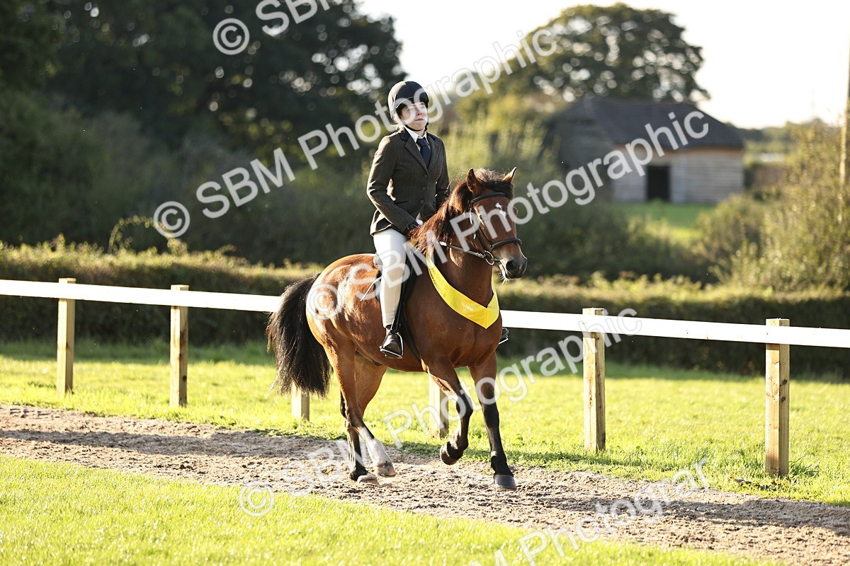 SBM_29660 - S7 - Novice & Newcomers Ridden Pony