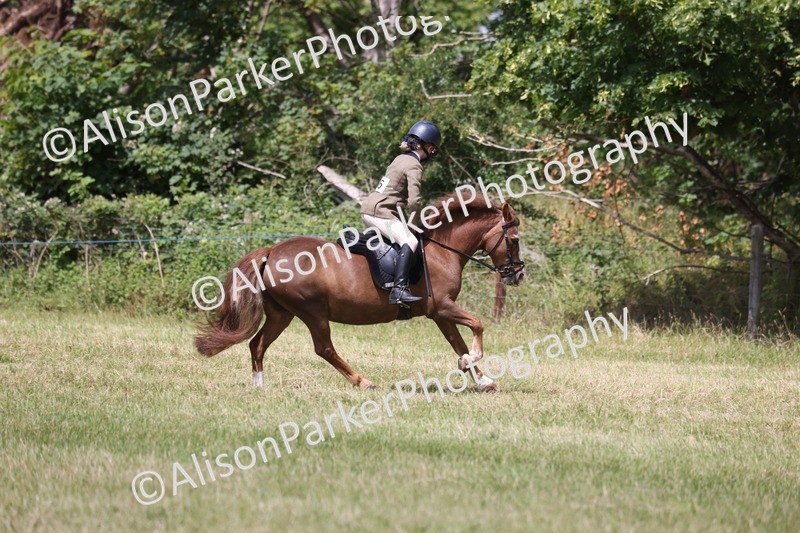 20260614-2178 - Class 21 - Novice Working Hunter Pony