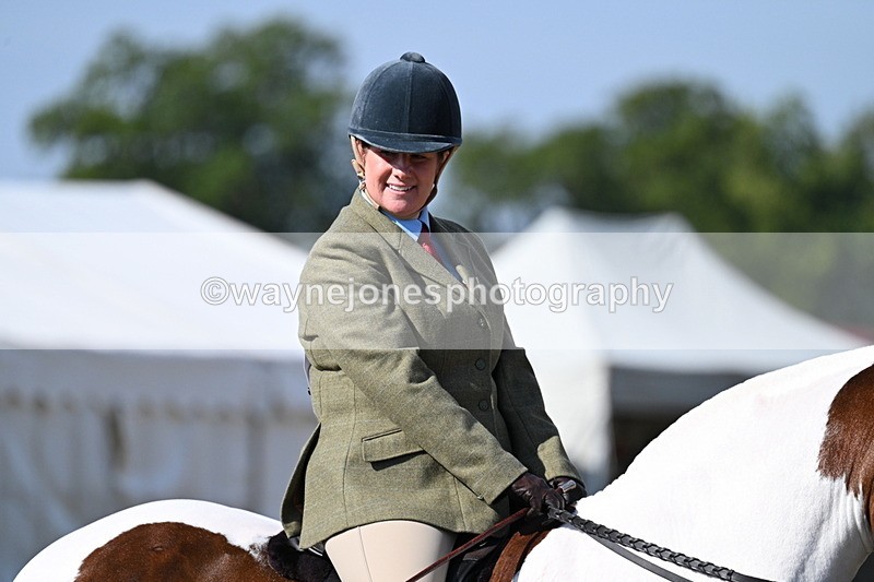 WJ7_2884 - Class 8 Ridden Tack & Turnout