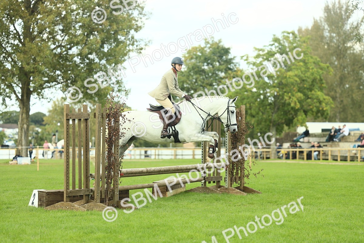 SBM_47976 - S32 - Novice & Newcomers Working Hunter