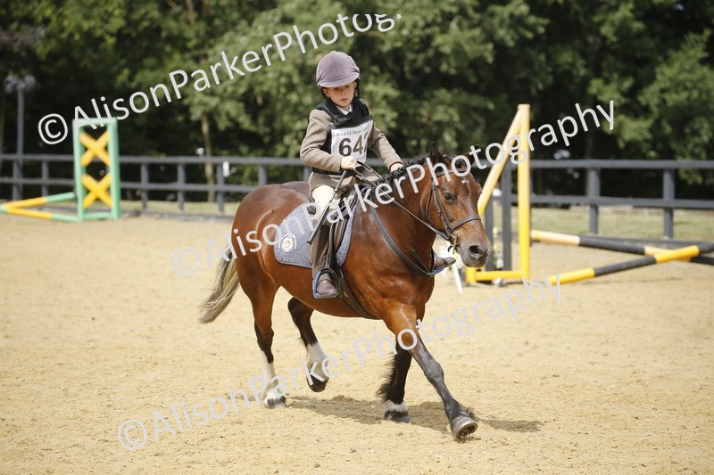 20250622-4090 - 50cm