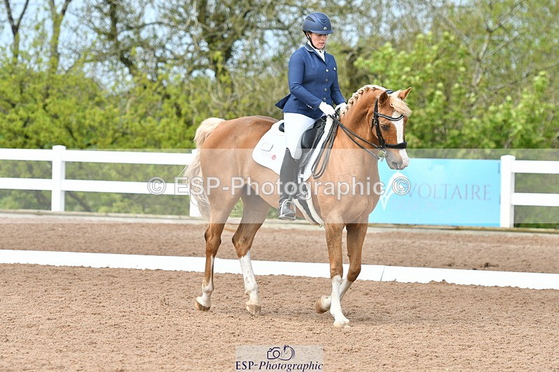 230511A-145035-01026 - BD Cls 14 Adv Medium 98