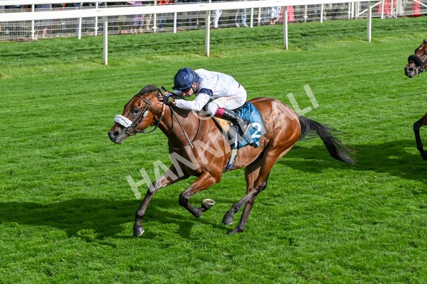 210825-Race 6-Stellar Sunrise-5212 - Race 6 4.45pm Mews Hotel Ossett EBF Stallions Nursery Handicap
