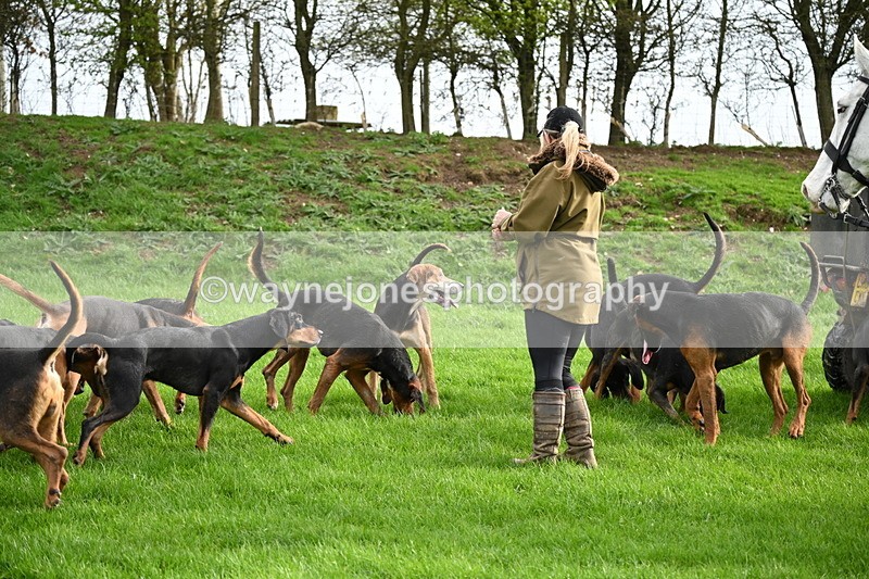 WJ6_9193 - Line Three