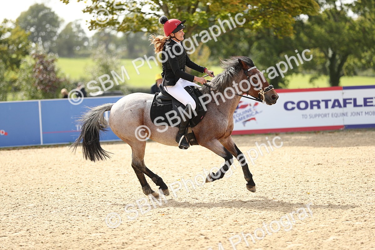 SBM_08430 - J30 - Senior Horse & Pony 70cm Championship