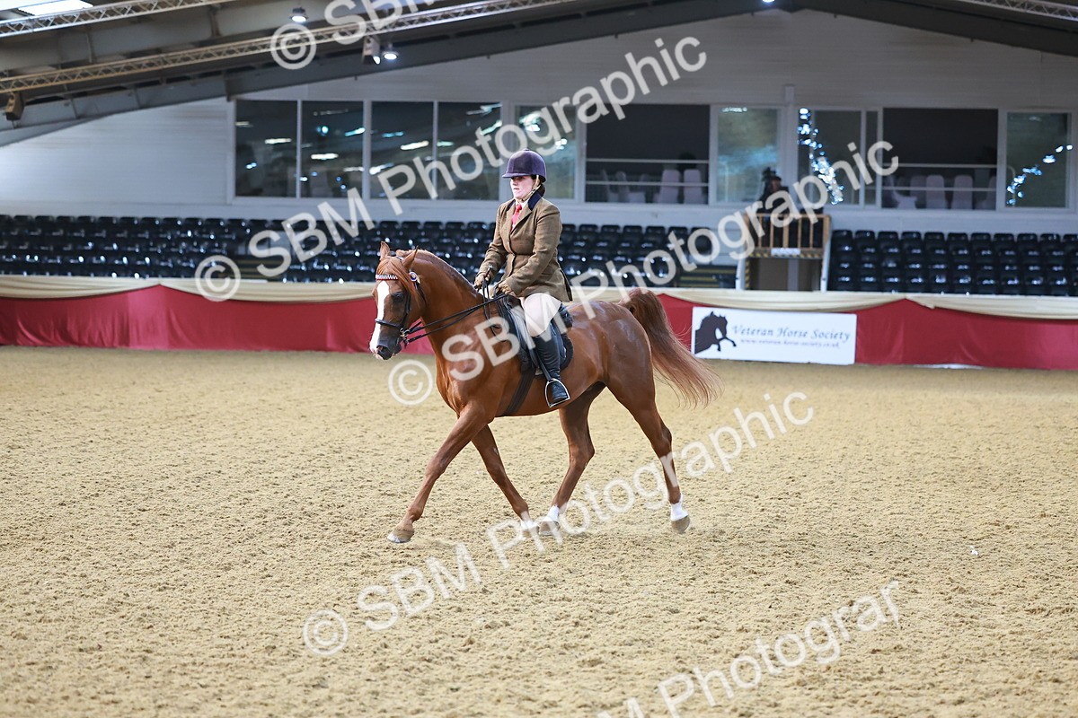 SBM_07694 - Class 101 - HOYS Veteran Qualifier - Ridden Diamond
