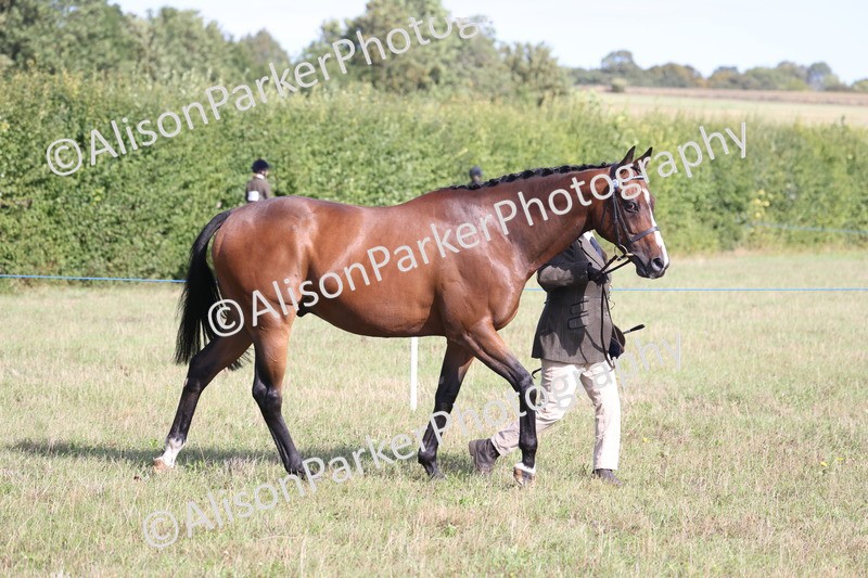 20260906-0650 - Class 22 - Ex Racehorse