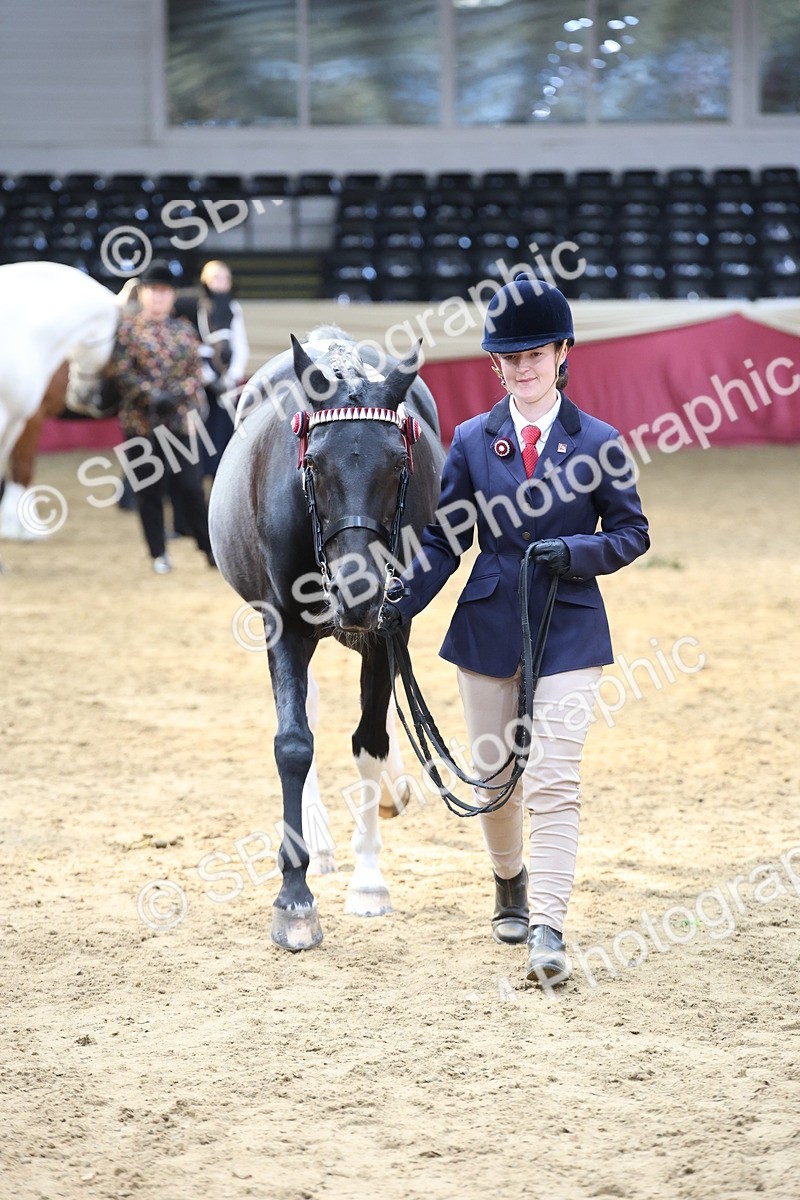 SBM_23336 - Class 903 - Supreme Final - IH Pre Vet