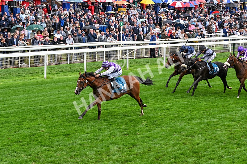 200826-Race 6-Mia Fantasia-0743 - Race 6 16.45pm Mews Hotel Ossett EBF Stallions Nursery Handicap