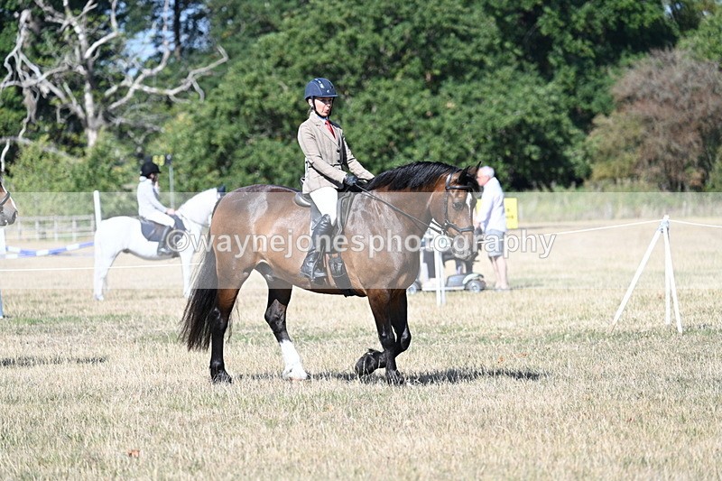 WJ7_3357 - Class 9 Mountain & Moorland Ridden