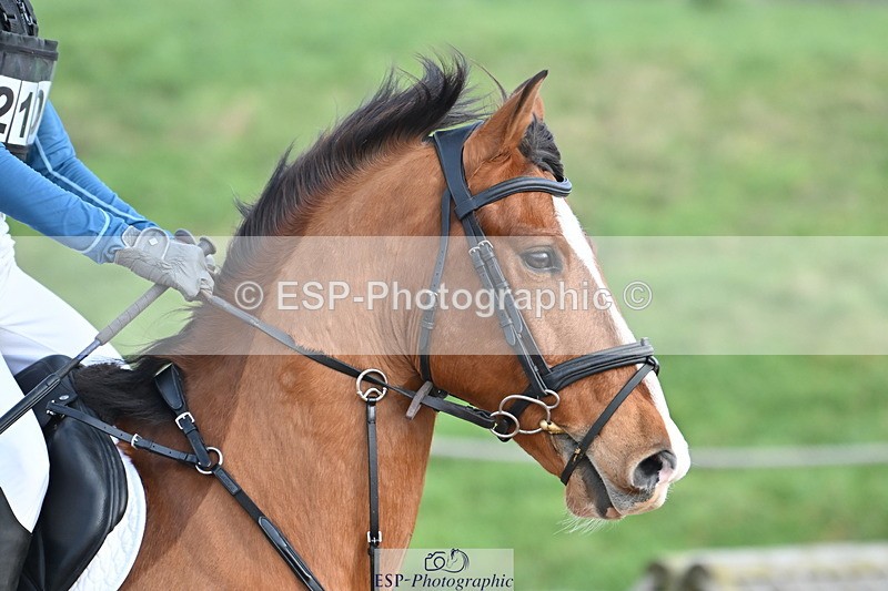 240127A-121042-00833 - AE 70cm