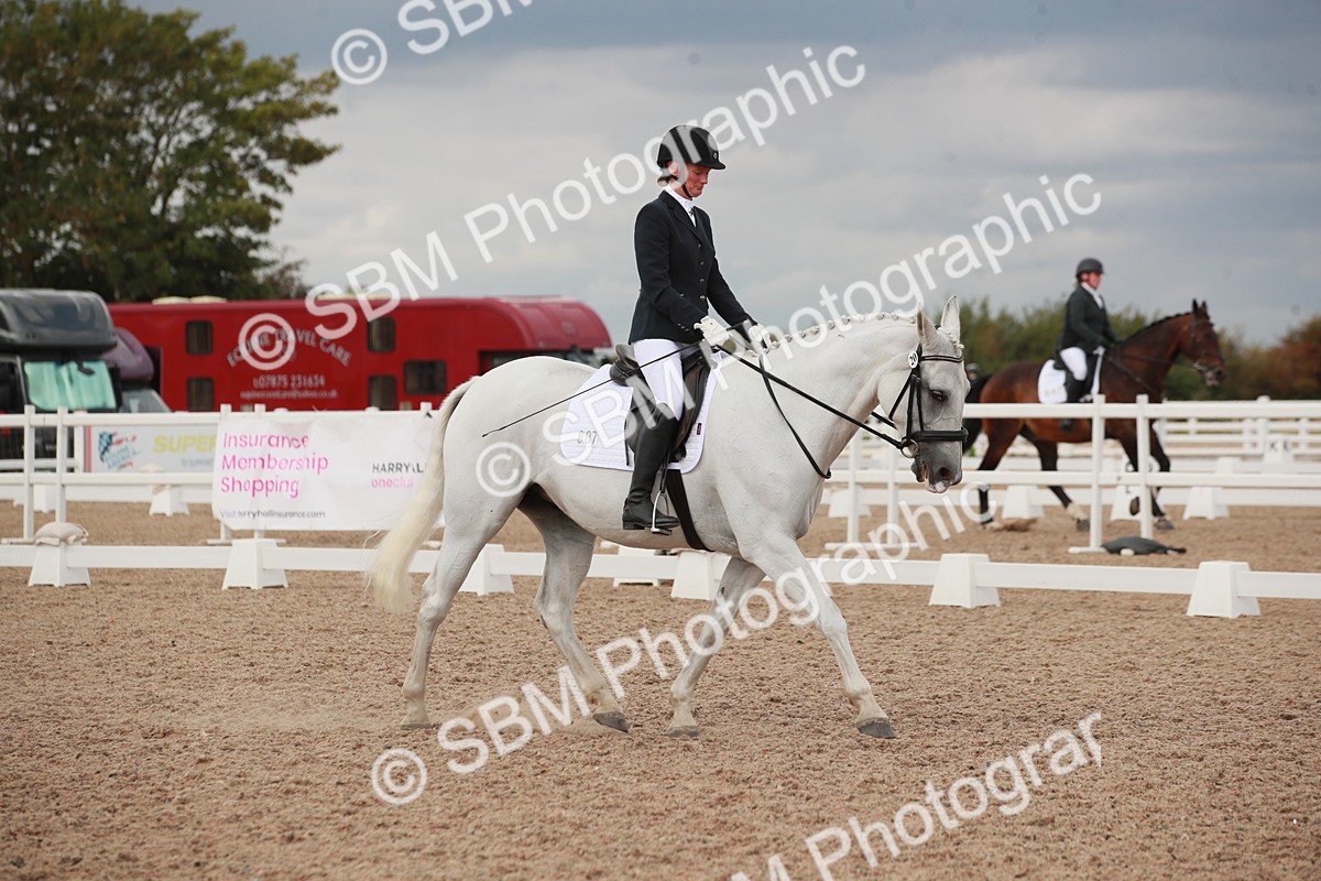 SBM_06017 - Class 32 - Novice 1