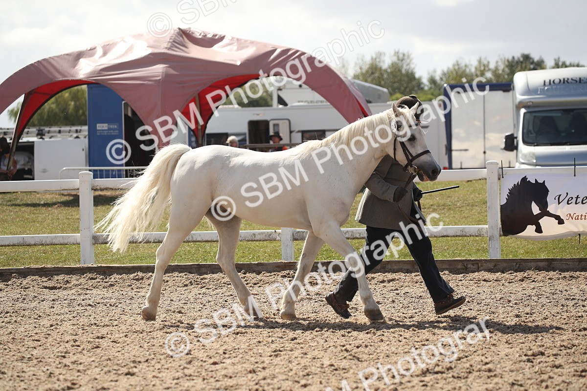 SBM_23530 - Class 605 - 2026 - Area - IH Veteran