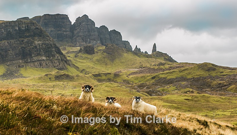 Old Man of Storr Isle of Skye  6323422 - Landscapes