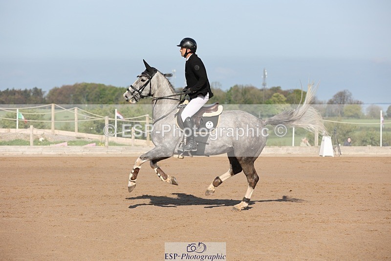 250427-090032-14712 - Cls 28 Young Horse 5yr old