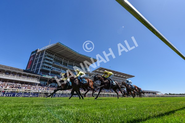 120725-Race 1-Remmooz-6983 - Race 1 2.00pm John Smith's Racing Handicap