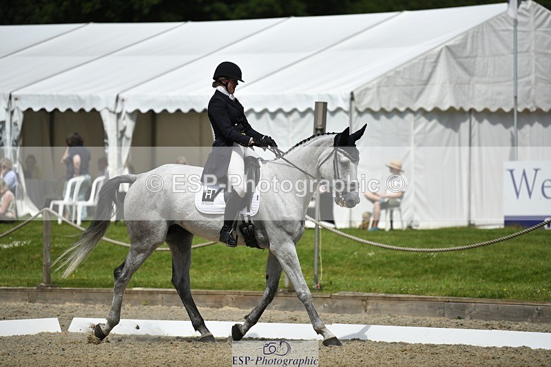 230525-113822-01874 - 102-BANDITO_VAN_POLDERZICHT-Grace_Taylor-WEDTrotUp+DR