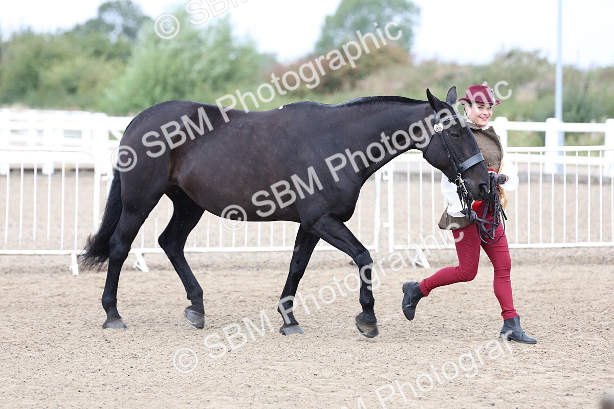 SBM_00117 - Class 50 - Best Turned Out IH