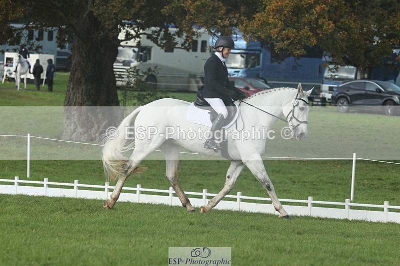 251023A-143642-04998 - G-522-Sue.Parkes Inc Trot Up