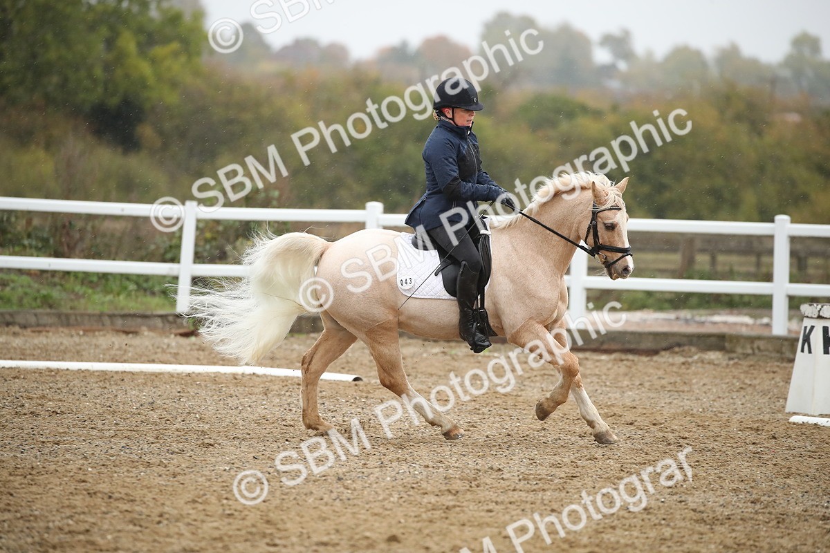 SBM_001450 - Prelim A-PYO