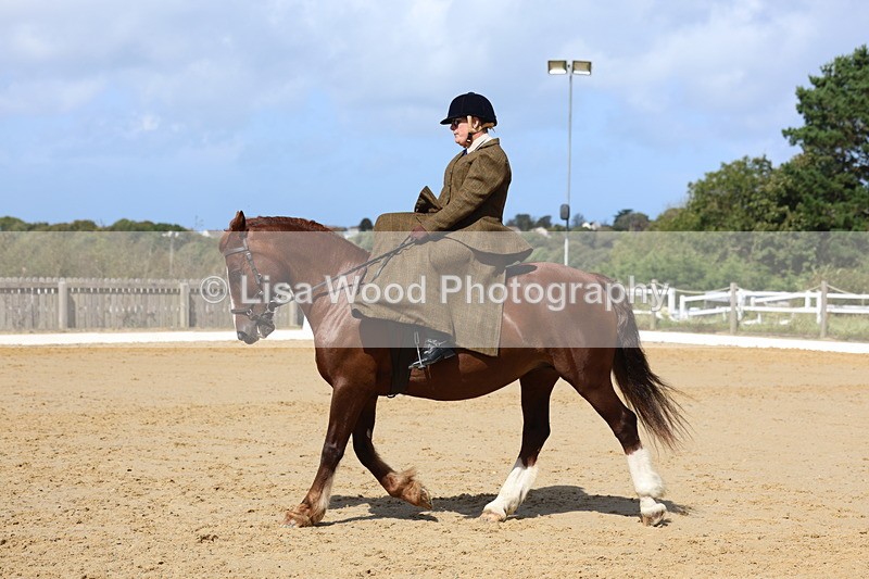 3E7A3571 - Class 7:  Preliminary Music