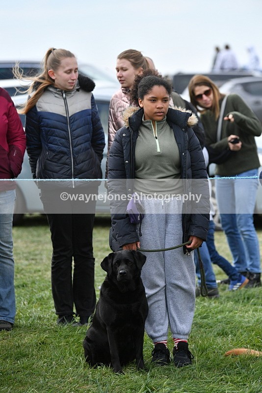 WJ5_0141 - Class 5 Best Veteran / 7 years & over