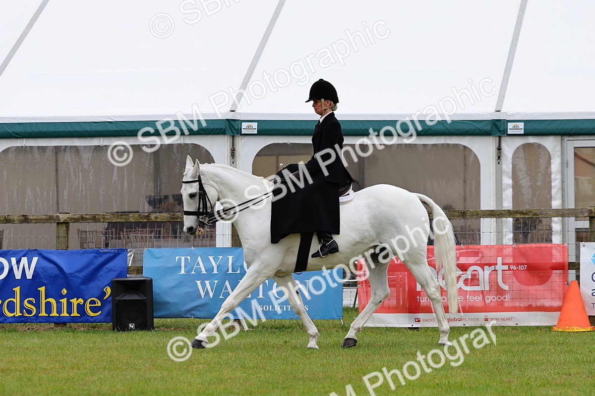 SBM_02745 - Class 9-11 Side Saddle including LIHS Rising Star Ladies Show Horse