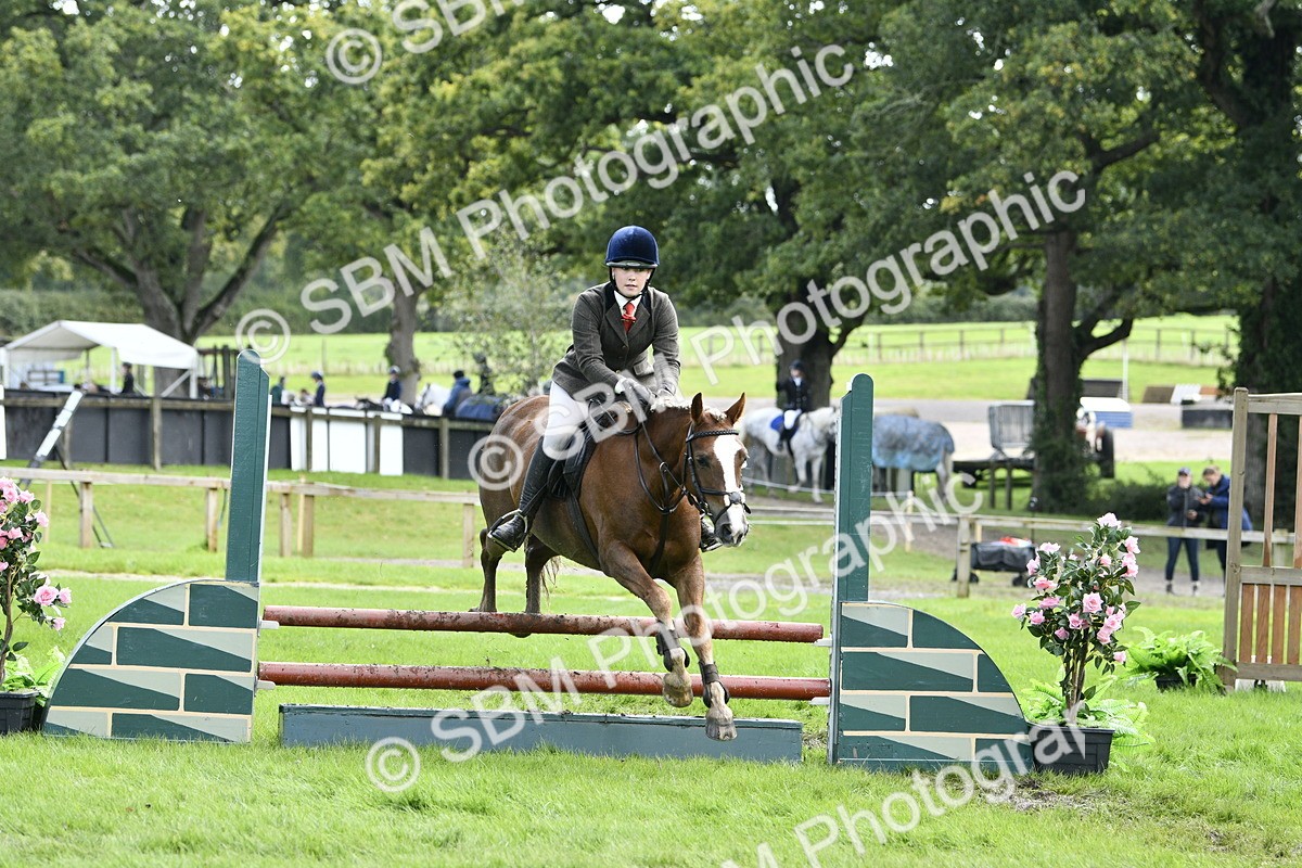 SBM_45652 - S33 - Working Hunter Pony