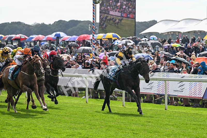 060926-Race 2-Oriental Prince-7206 - Race 2 2.05pm Fine Details Car Valeting Sprint Handicap