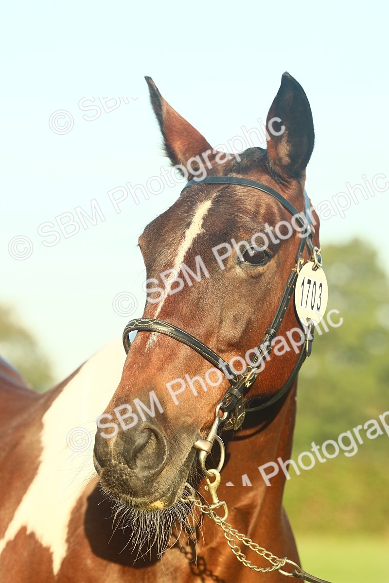 SBM_56593 - S36 - Starters Best Turnout