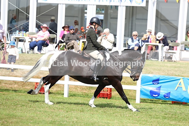 3E7A9715 - Class 5: Rising Star Lightweight/Heavyweight Cobs