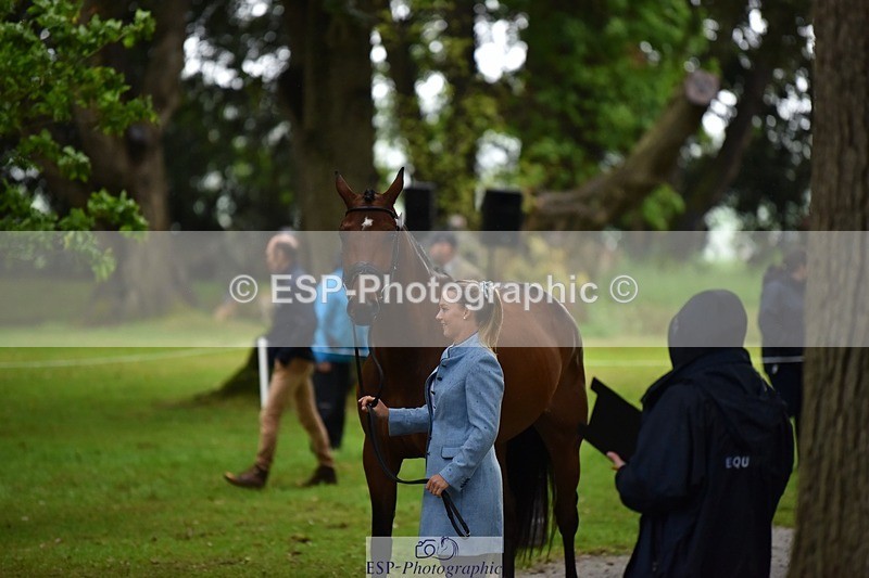 240522-161940-00838 - 240-KINDA_CORVETTE-Dani_Evans