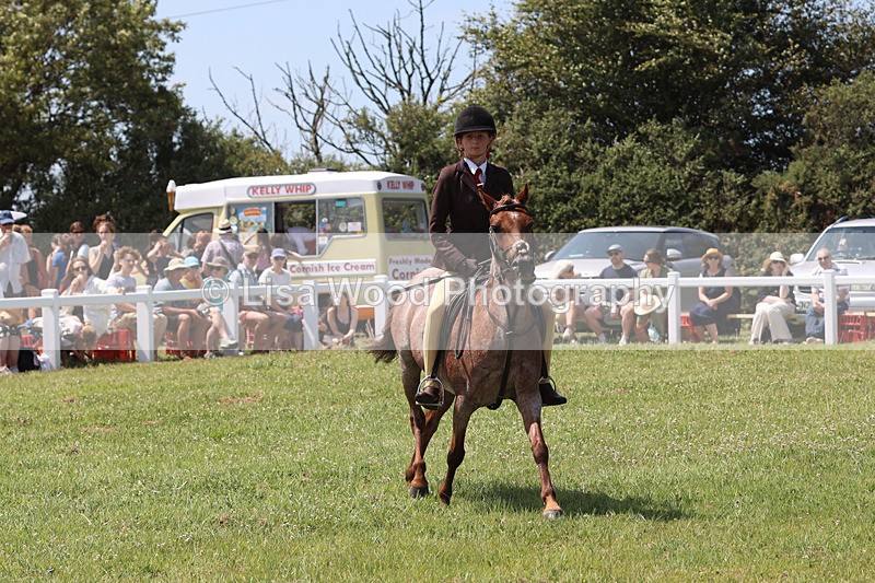 JPP_2789 - Class 21: Working Hunter 60cm