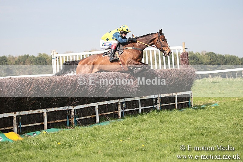 PtP 210418 448 - South & West Wilts Point-to-Point Larkhill 21/04/18