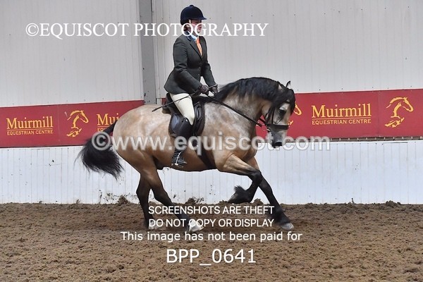 BPP_0641 - RING 2