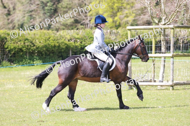 20240421-5335 - Tackley 2024 - Alice