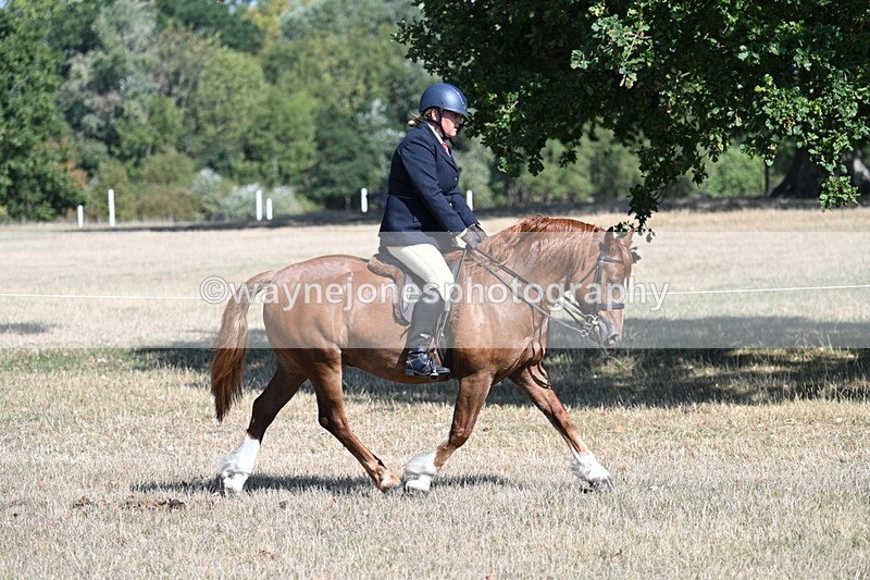 WJ7_3847 - Class 9 Mountain & Moorland Ridden