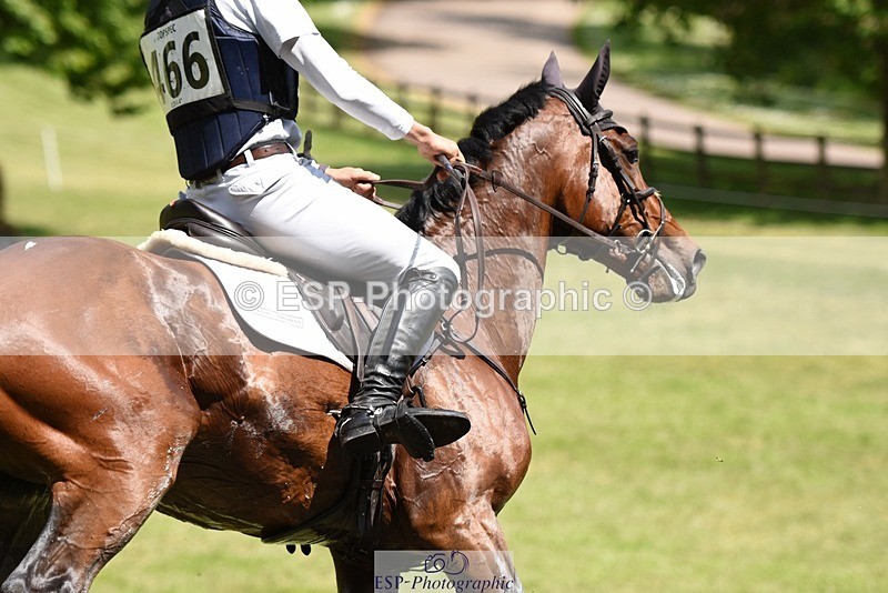 230528-135748-17912 - 466-BAMBINO_DE_L'ILATTE-Paolo_Torlonia-XC