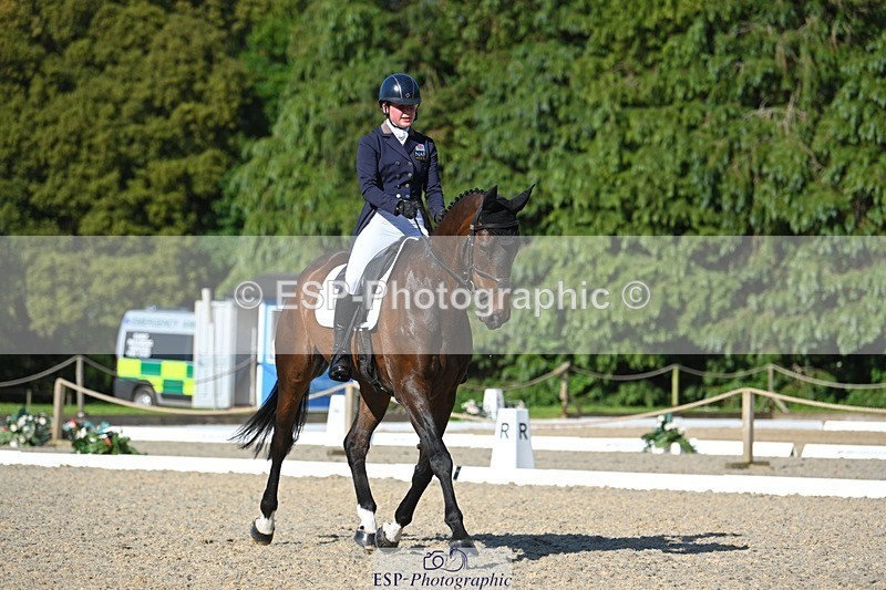 230526-172447-07594 - 263-CARWARTHEN_HARRIER-Polly_Muirhead-WEDTrotUp+DR