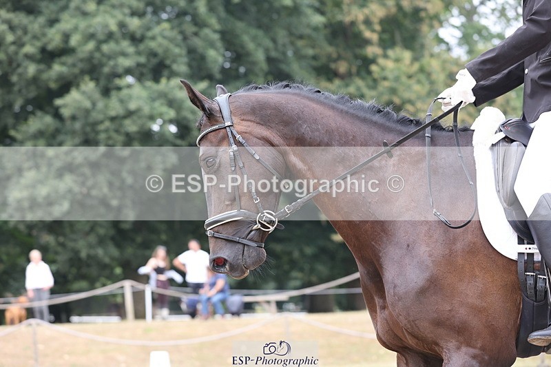 250718A-113747-00897 - 097-Daniel.Childs-OFranklin