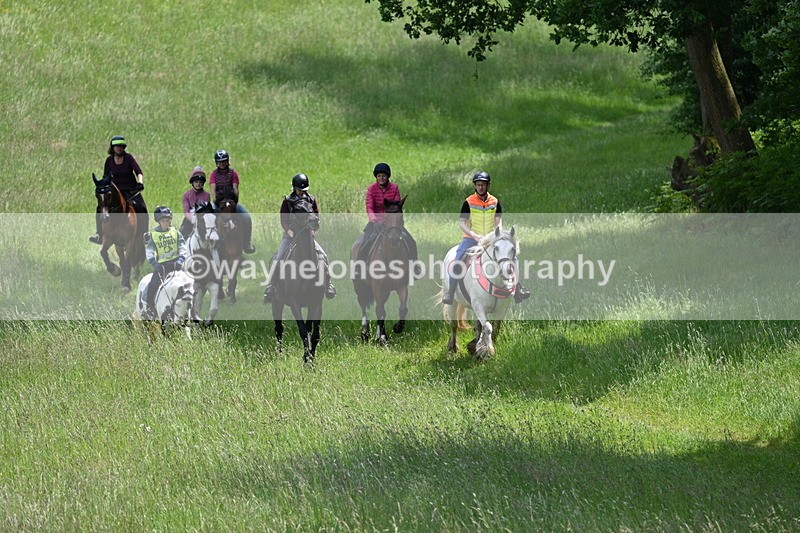 WJ7_8748 - Group 4 11am