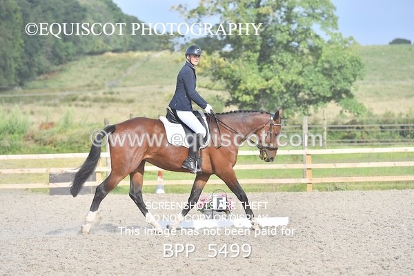 BPP_5499 - INTRO TEST 3