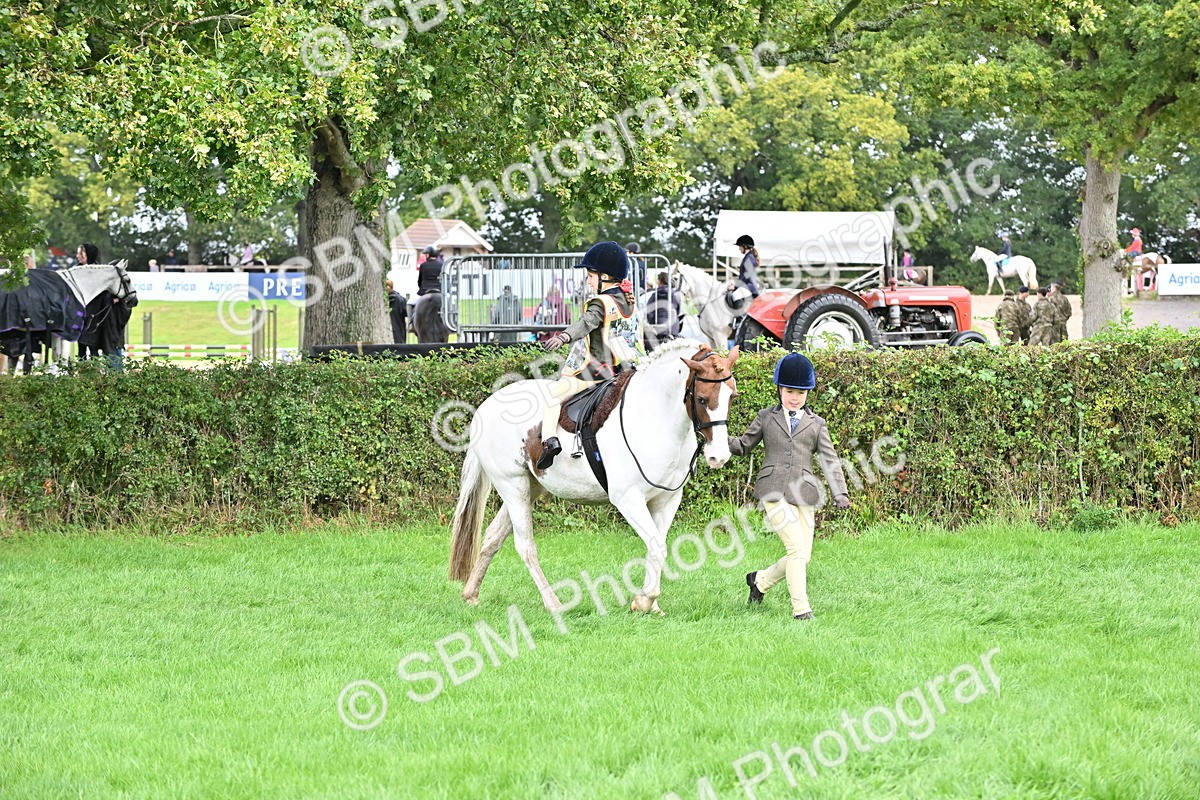 SBM_43058 - S12 - Family Horse & Pony