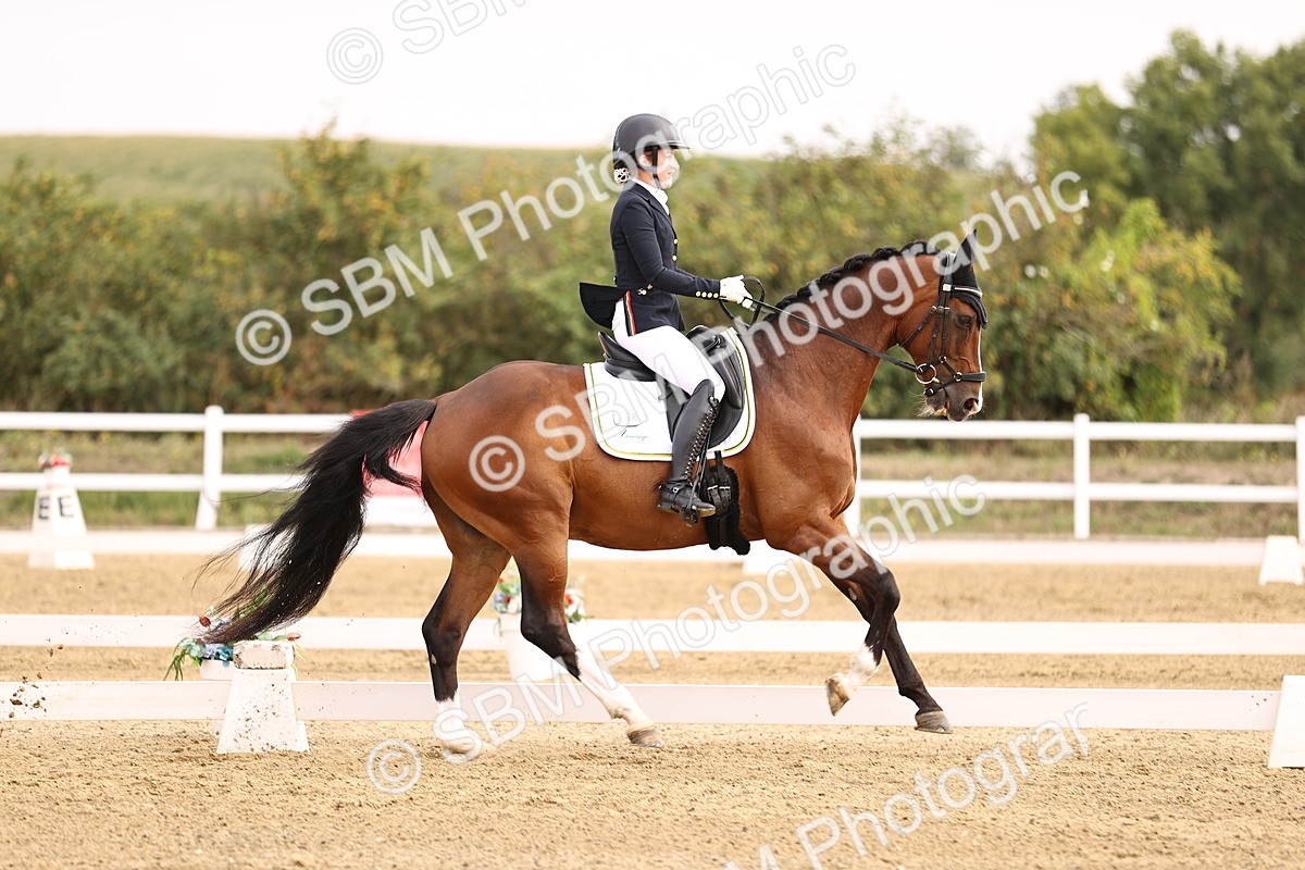 SBM_011678 - Class 1 - Medium 5