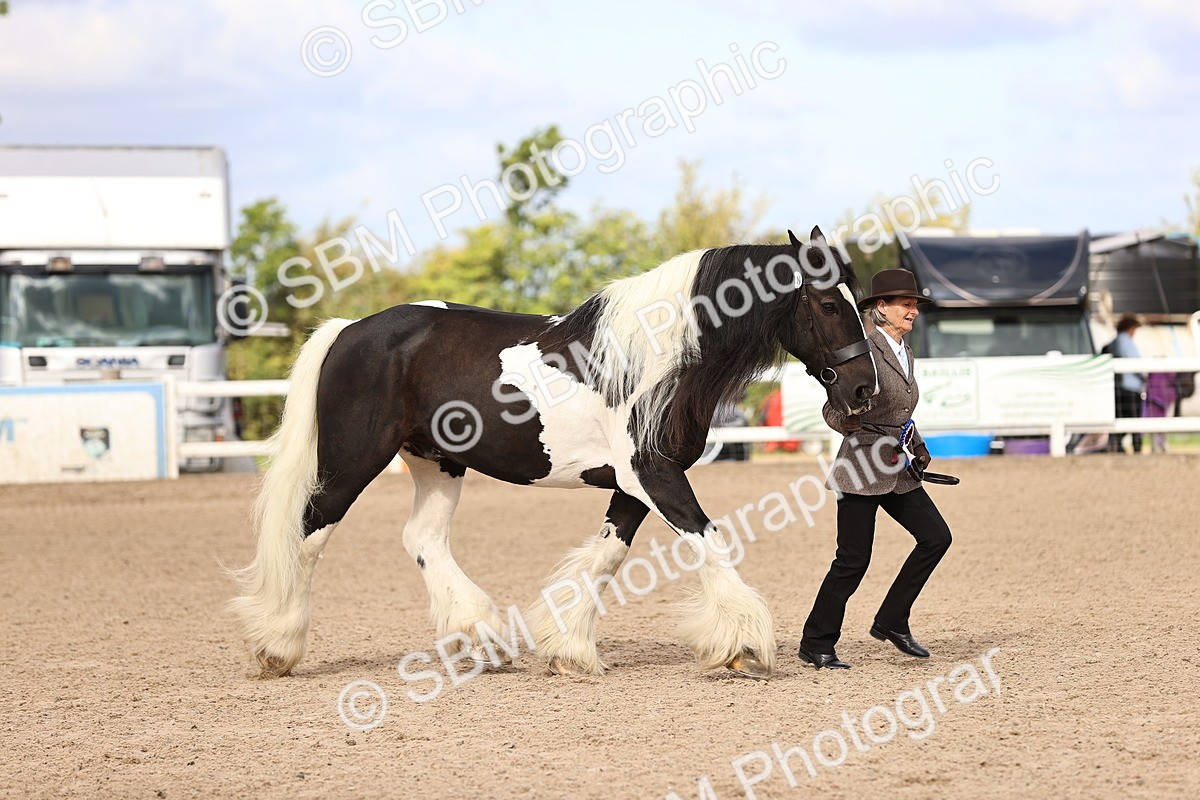 SBM_09335 - Class 404 - IH Traditional - Native Cob
