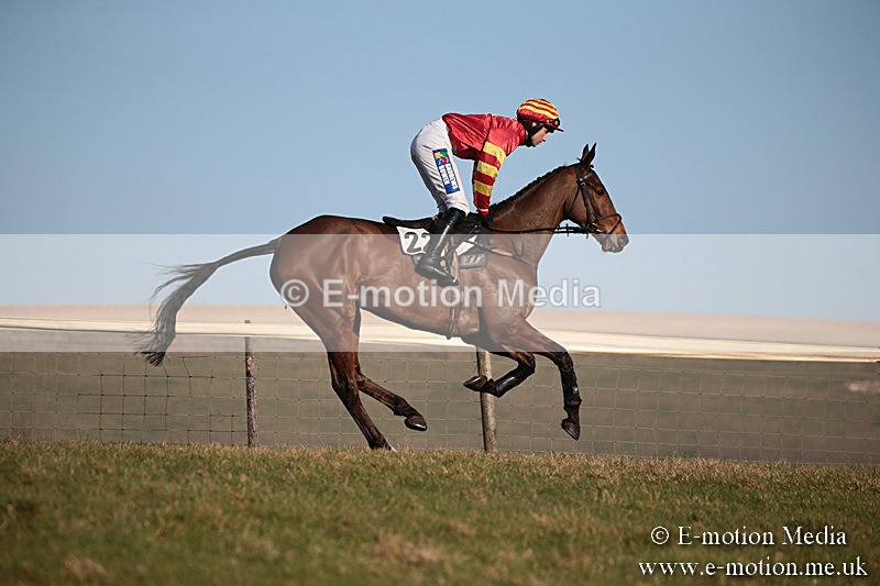 PtP 230219 490 - Vine & Craven Point-To-Point - Barbury 23/02/19