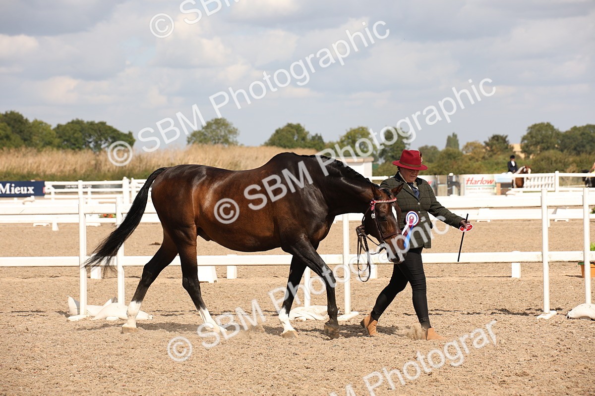 SBM_03800 - Class 19 Judge's Favourite