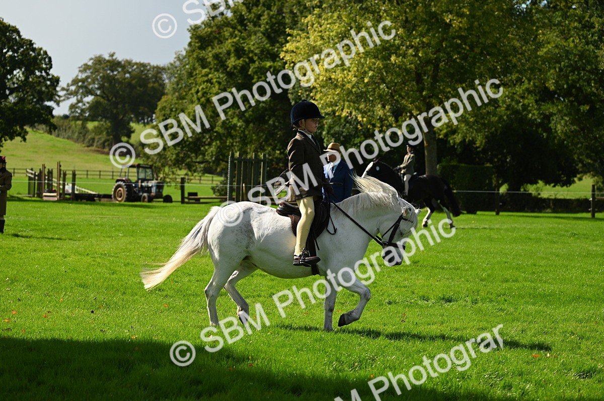 SBM_02754 - S3 - TSR Ridden Pony Showing