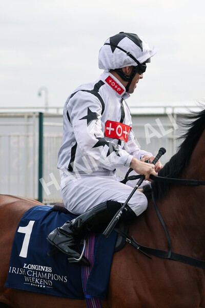 yr13052022r7-21 - Race 7 5.15pm Longines Irish Champions Weekend Stakes
