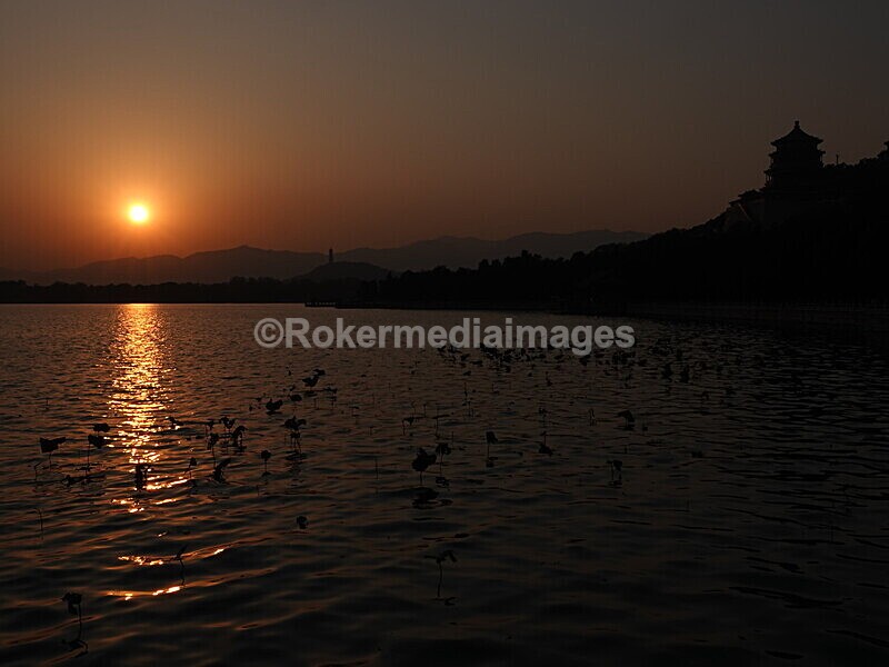 CHINA__1323 - China 2019